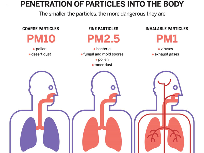 penetration of particles into the body