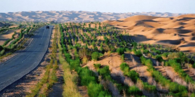crushing in desert management industry