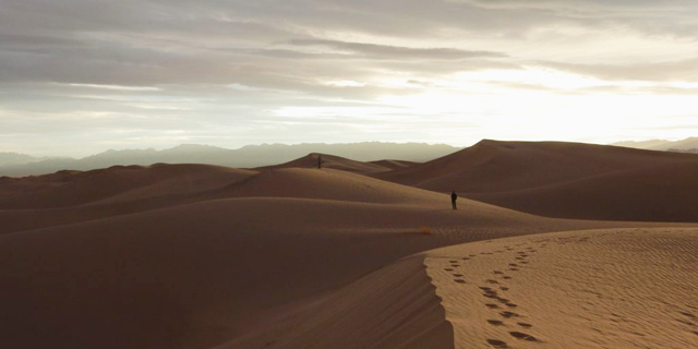 difficult and complex desert management