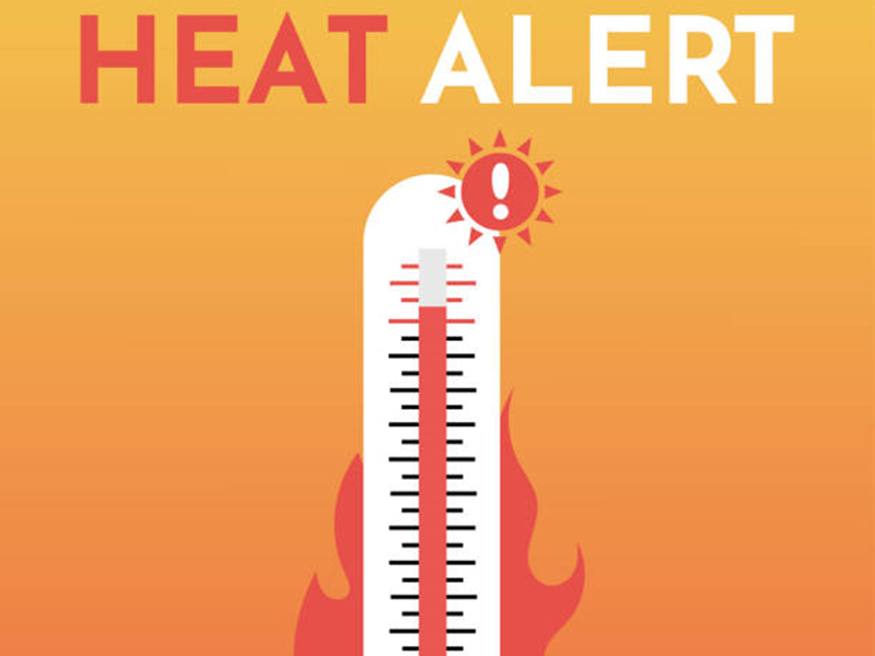 high temperature environment