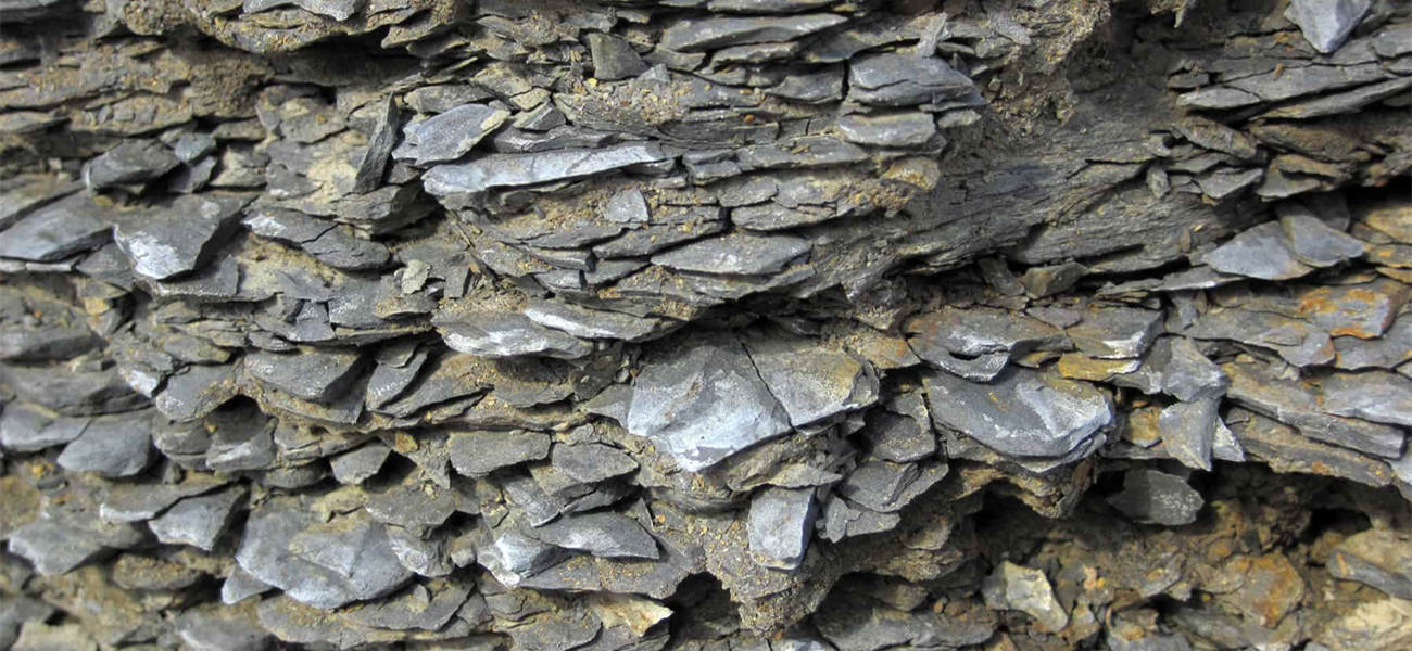 gray shale