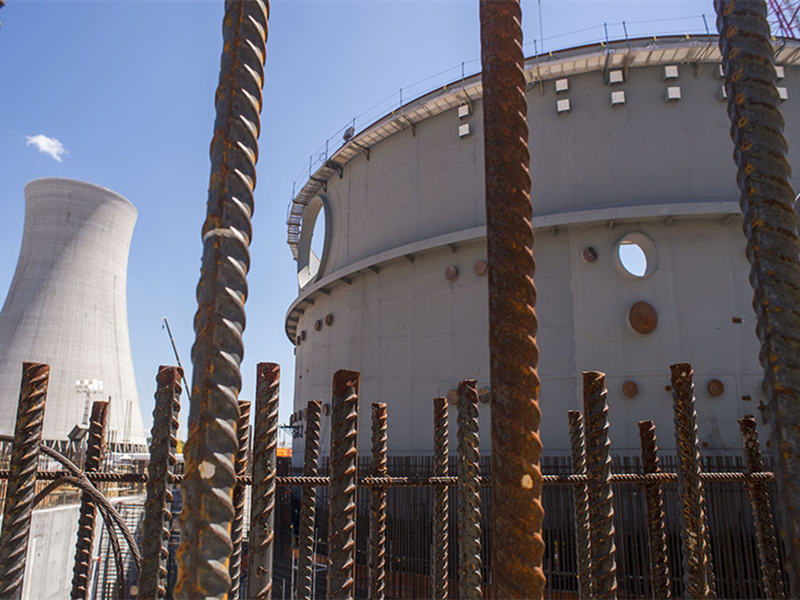 Nuclear Power Plants